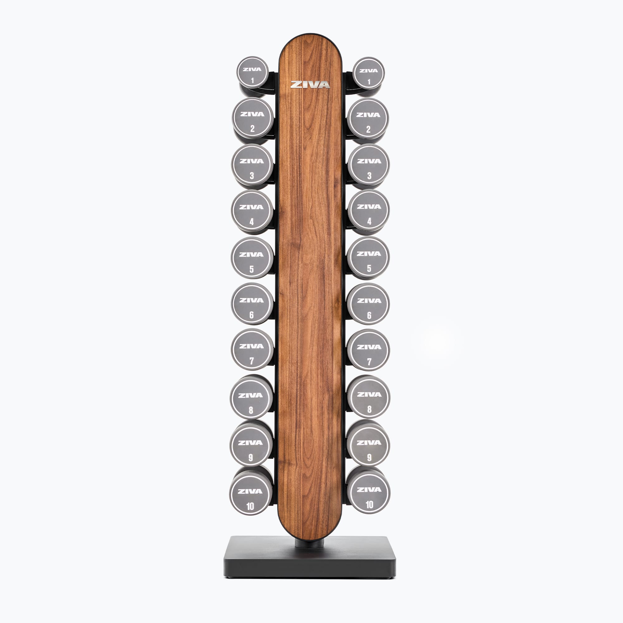 LUMINA URETHANE STUDIO DUMBBELL SET 1-10KG
