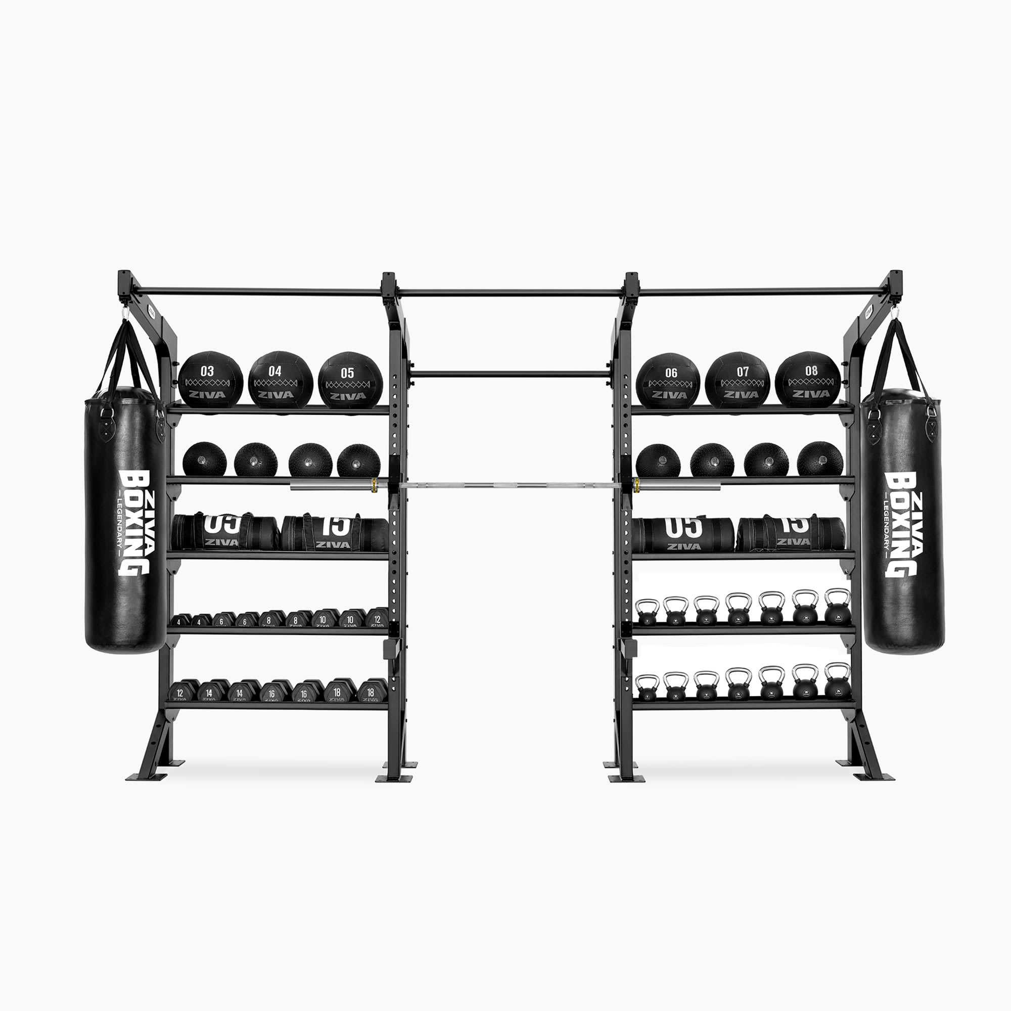 Performance Functional Rig PERFORMANCE FUNCTIONAL TRAINING RIGS - ZIVA