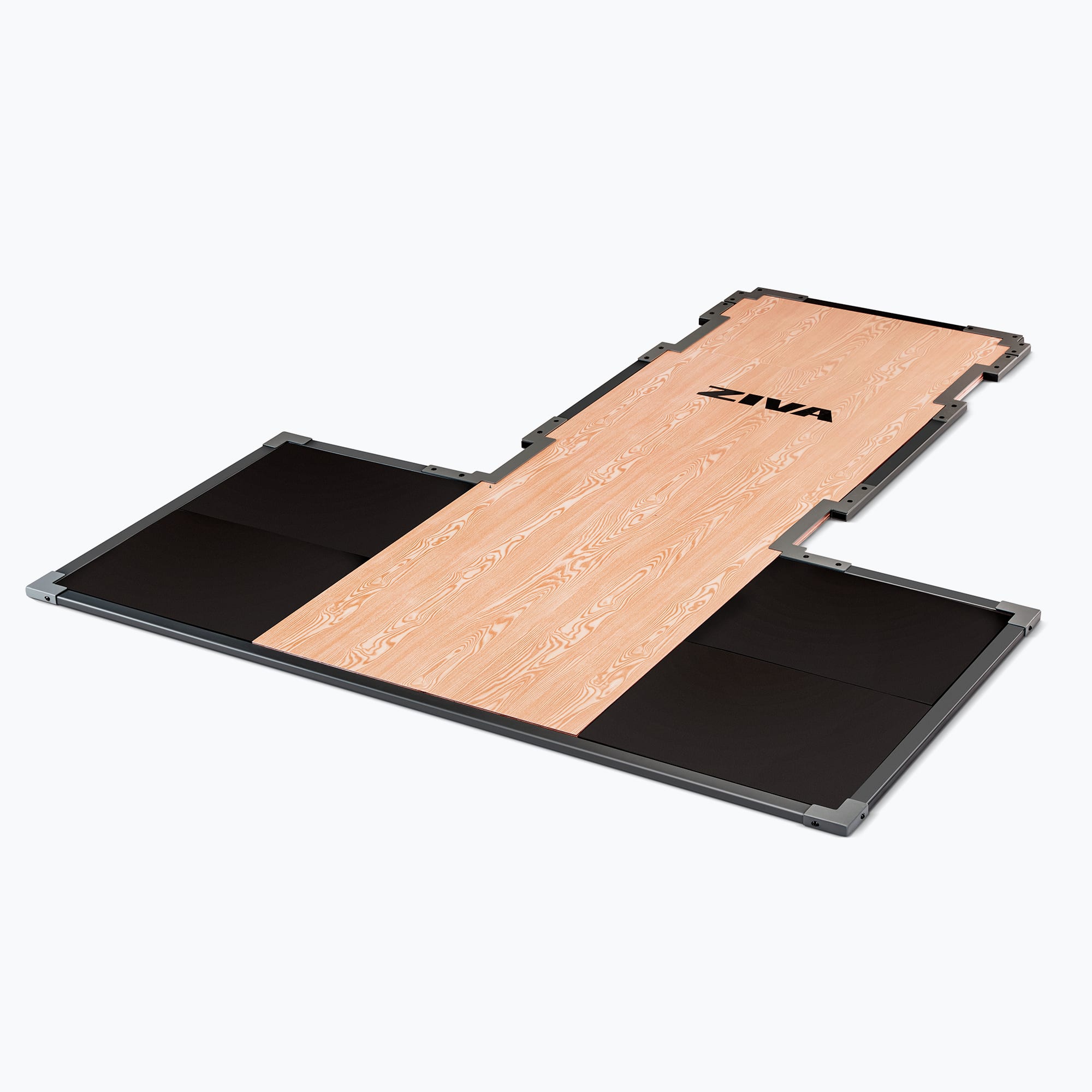 Commercial Gym Equipment & Customizations | ZIVA