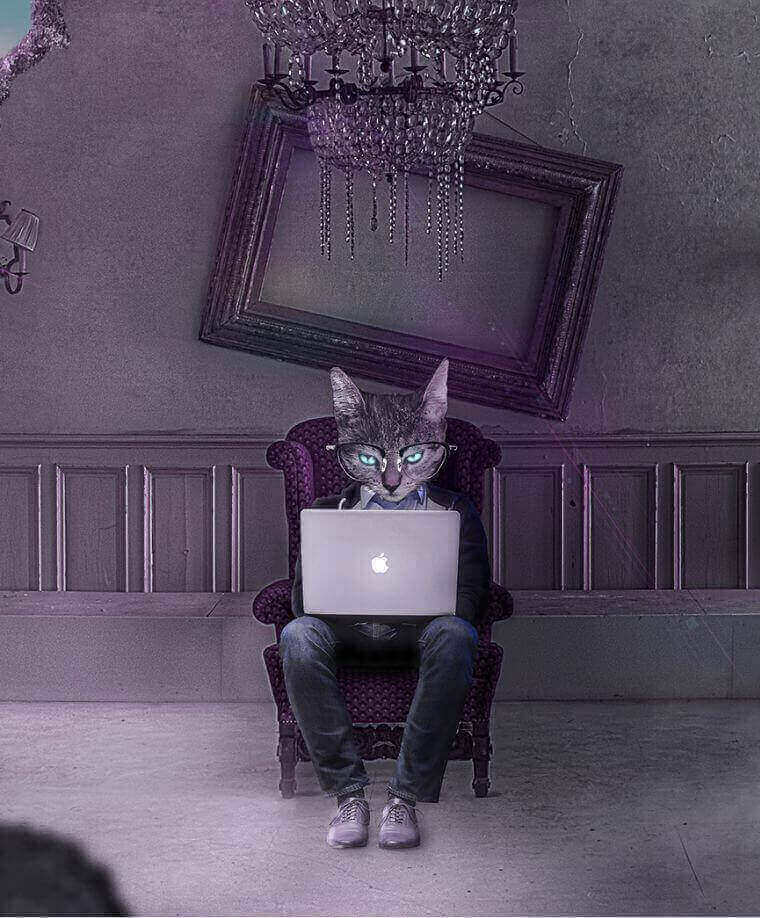 Fotomontaje de gato estudiando en computador en un cuarto destruido