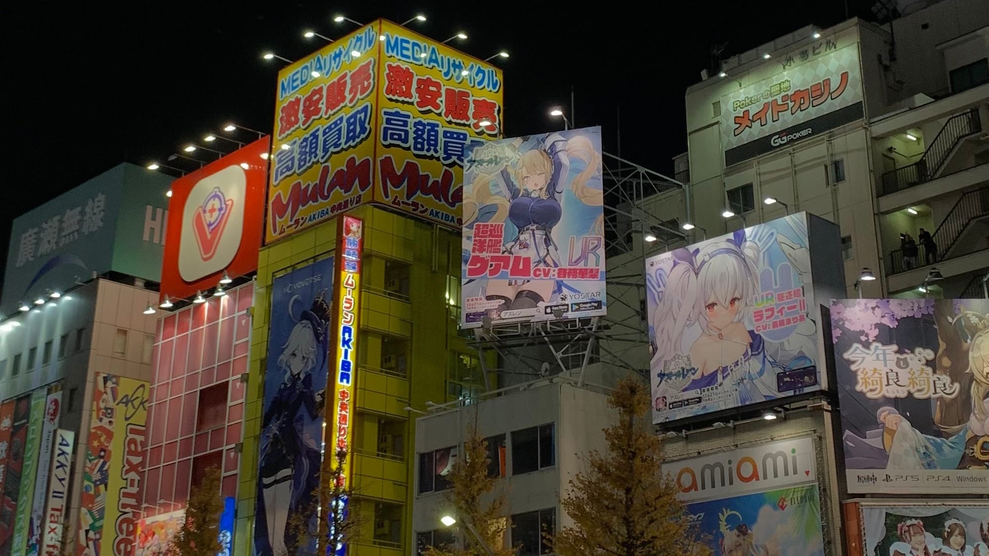 Picture of Japan