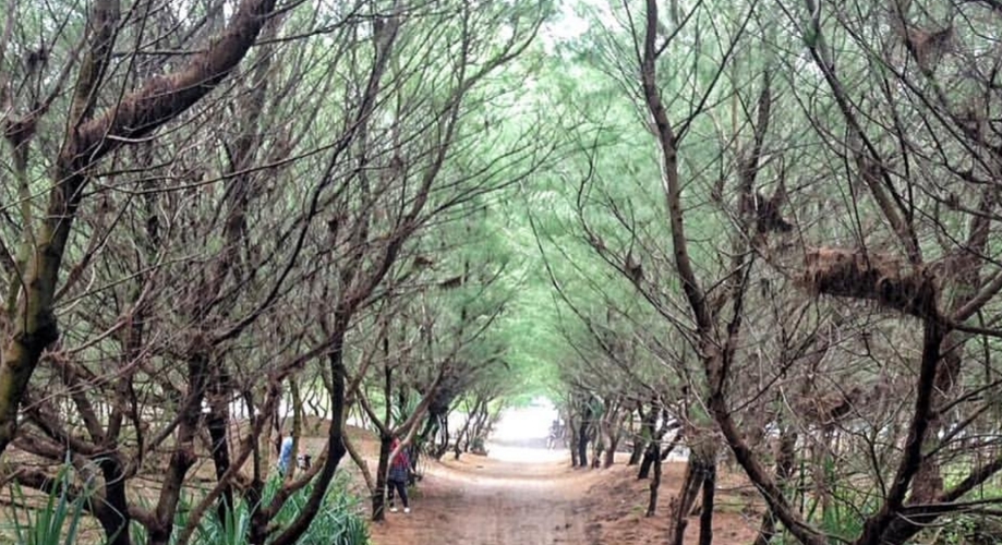 Pantai Goa Cemara
