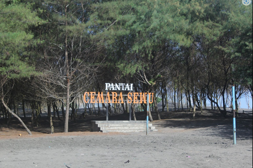Cemara Sewu
