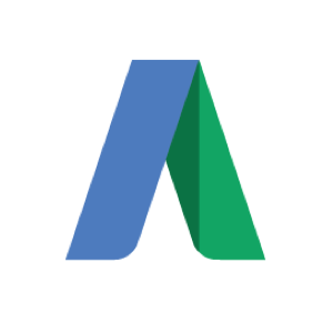 Google Ads Torii Integration