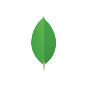 MongoDB Torii Integration