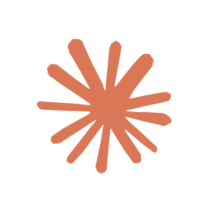 Claude Developer Torii Integration