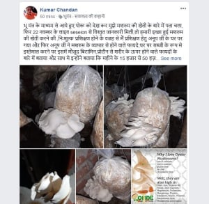 chandan kumar post mashroom