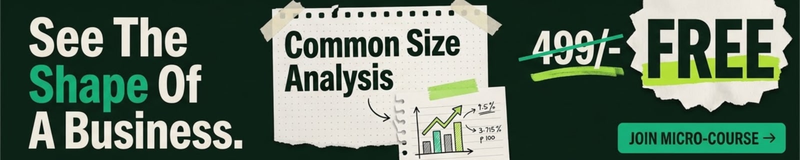 Common Size and Trend Analysis &mdash; free micro-course from Fin Maverick