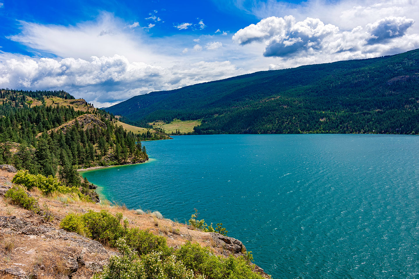 View of Kalamalka Lake