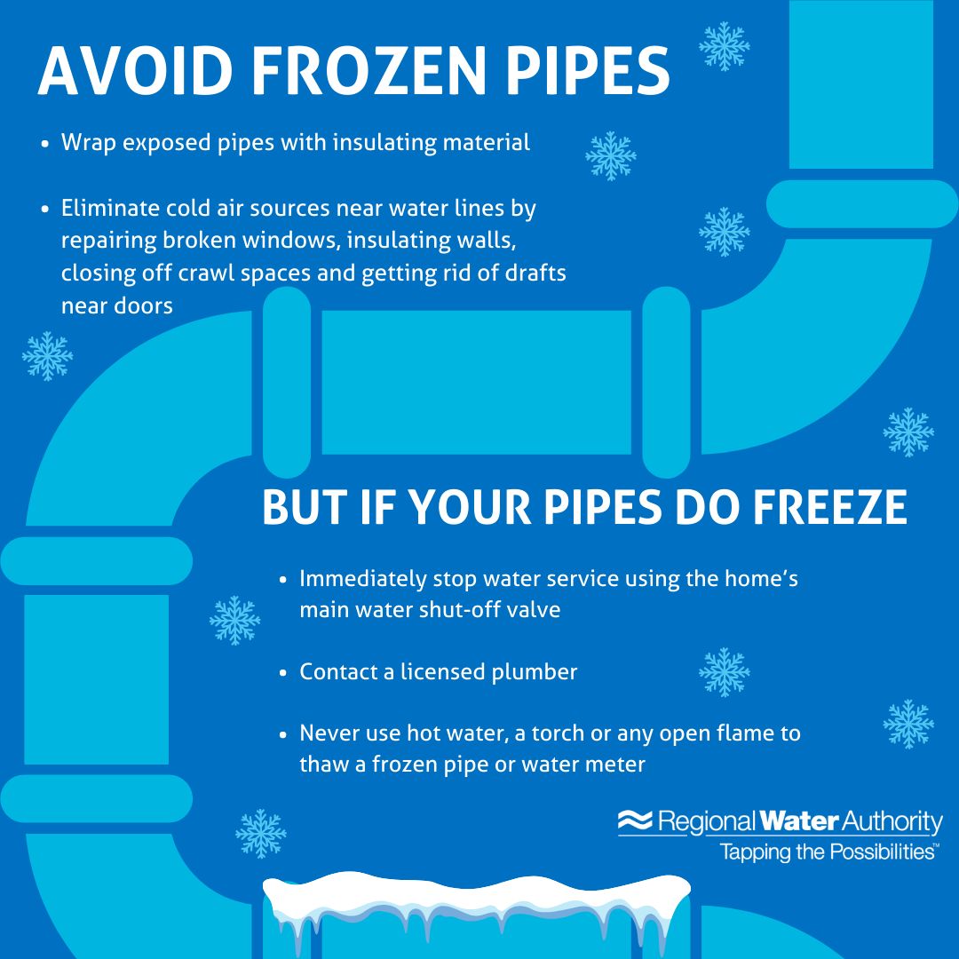 a blue and white graphic outlining common plumbing problems and solutions for vernon bc homeowners