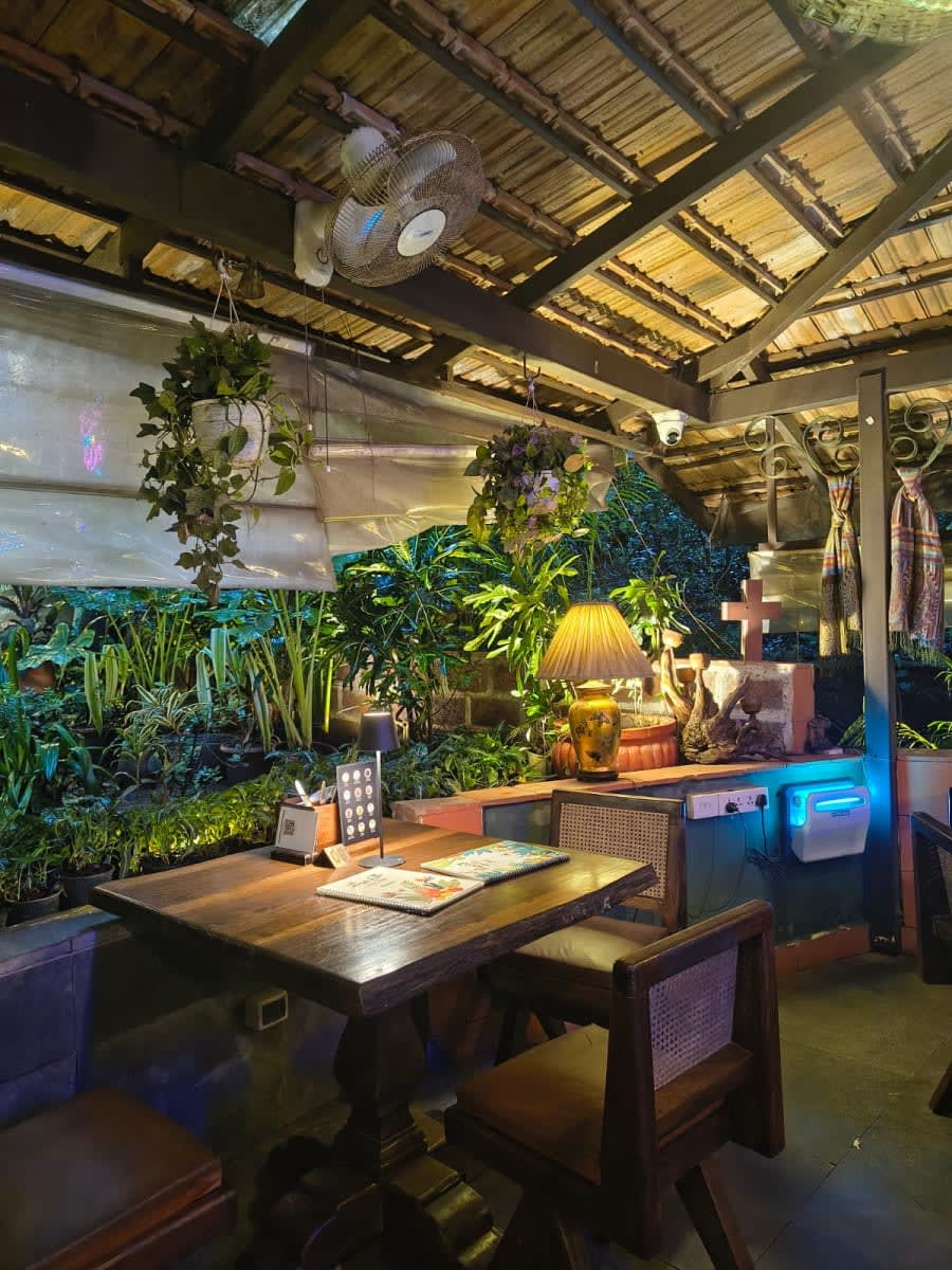 Jungle Café - Bistro & Bar, photo 2