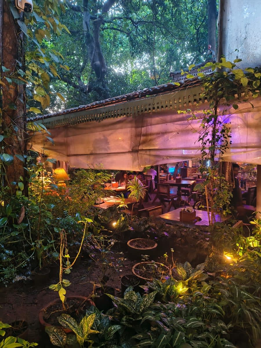 Jungle Café - Bistro & Bar, photo 3