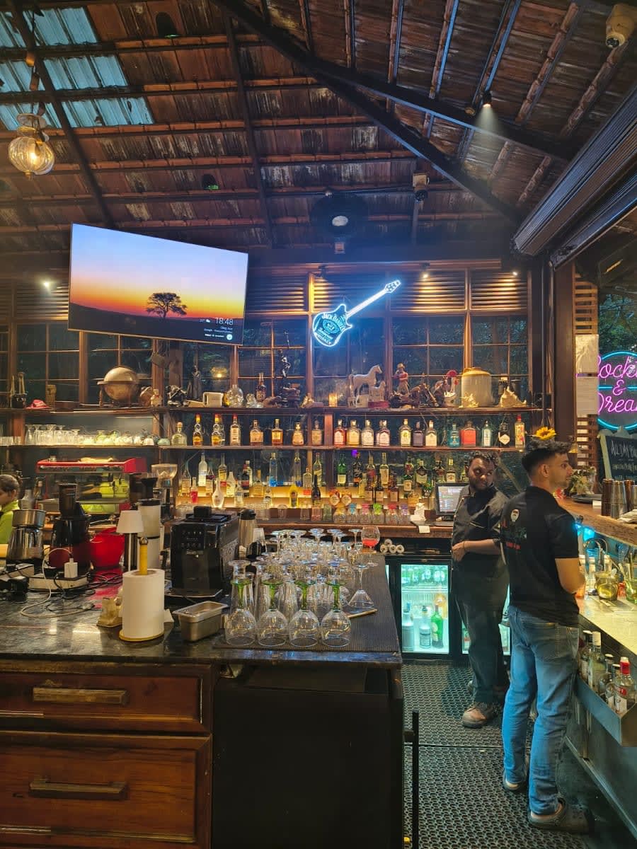 Jungle Café - Bistro & Bar, photo 4