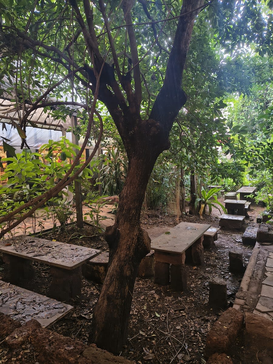 Saraya Café, Sangolda, North Goa