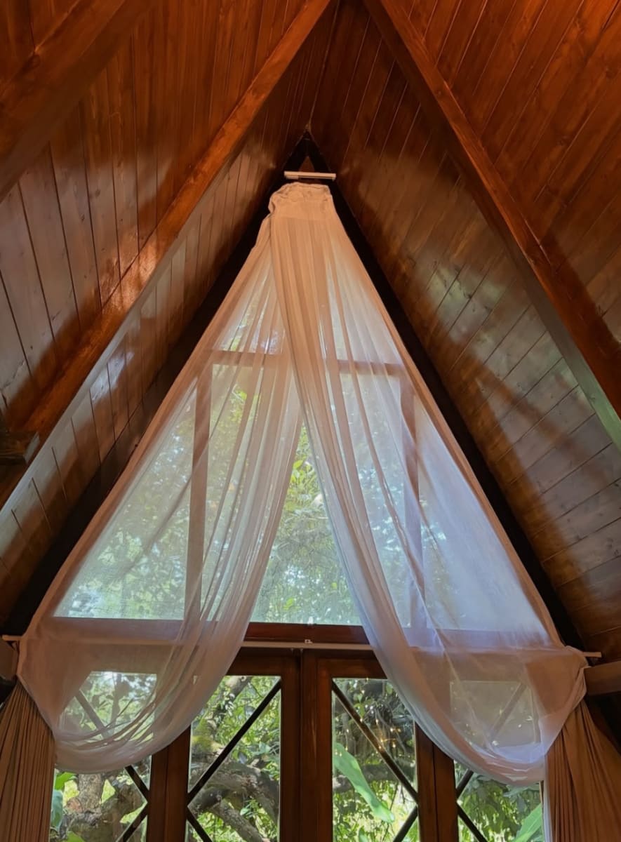 Vrihi, C, North Goa