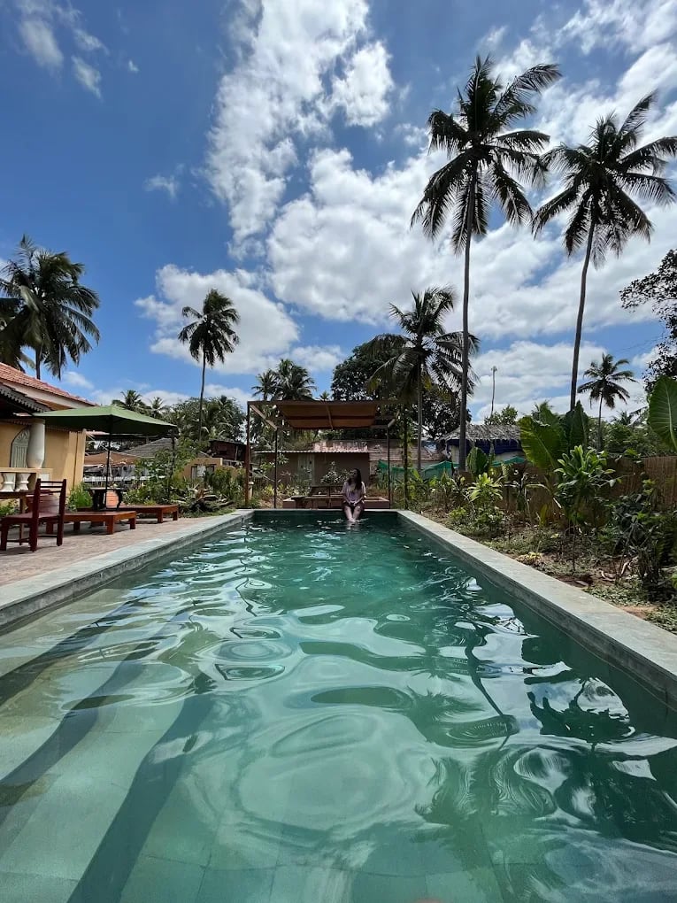 Caju Grove, Perxett Vaddo, North Goa