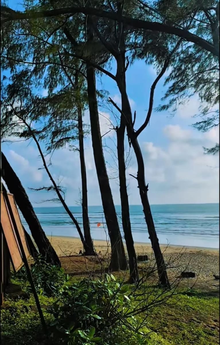 Galgibaga Beach, Canacona, South Goa