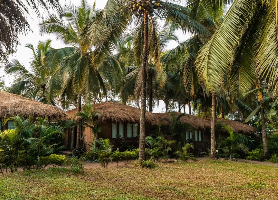 Anahata Retreat, Ashvem Beach, North Goa