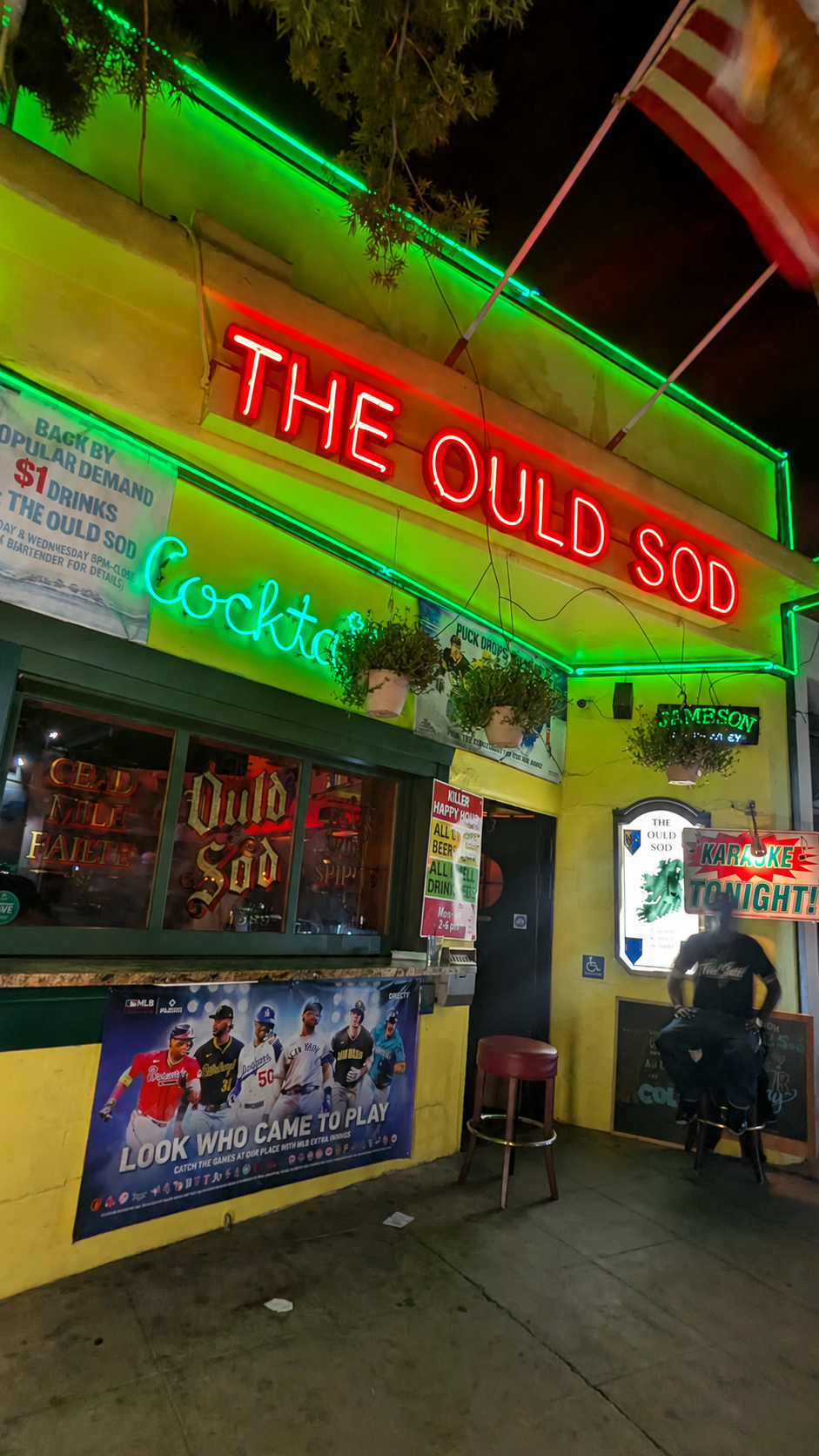 The Ould Sod