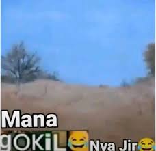 Orang