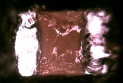 Contamination and Moisture on MLCCs