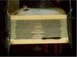 Spectrum Control Filters