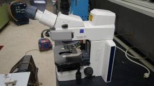 Zeiss Axio Microscope