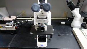 Front view