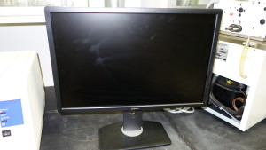 Dell Monitor
