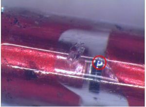 Die can be seen throughout the glass, piece of silicon removed, in red circle