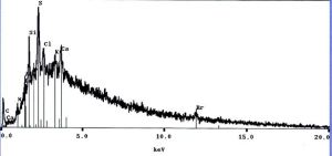 EDS note the bromine