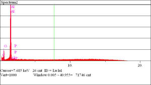 EDS of aluminum shank