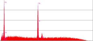 EDS spectrum taken where no adhesion was present