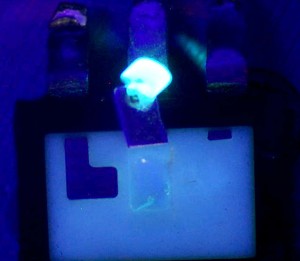 Dye Penetration to the Diode