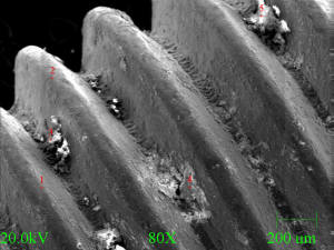 SEM-EDS of screw