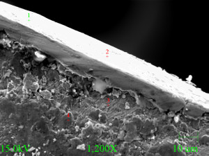 Micrograph of failure site, second spring