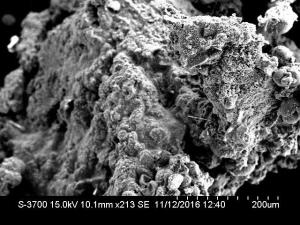 Micrograph of surface connector pins