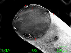 Micrograph of spring