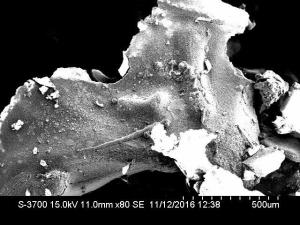 Micrograph of yellow material coming from electrolytic capacitor