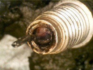 Molten solder and holes in ceramic cap