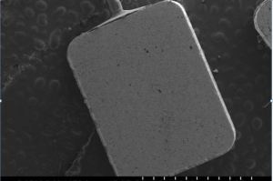 SEM Micrograph of sample 1