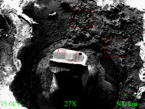 SEM of terminal