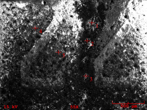 Sample 3 SEM micrograph