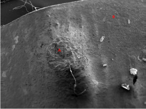 Micrograph of corroded spot