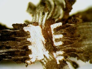 cross section showing carbonized resin on PCB