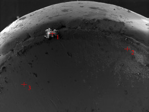 SEM EDS contamination