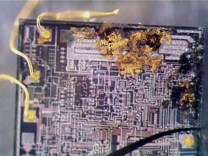 Melting of the gold wires