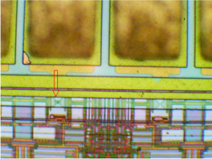 Sitronix chip with a blown I/O