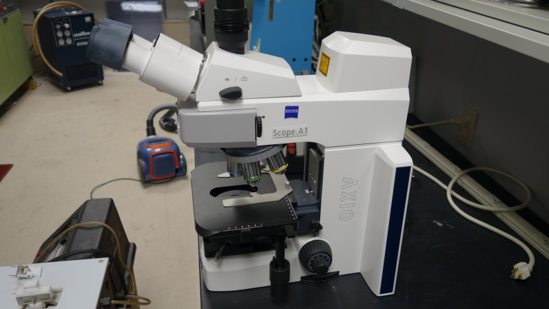 Zeiss Axio Microscope