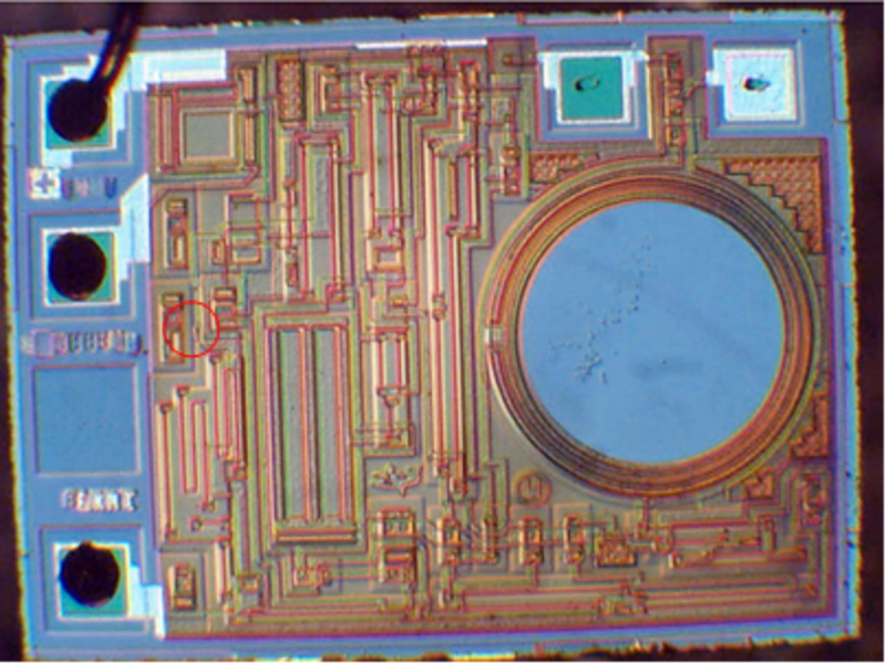 Input Diode